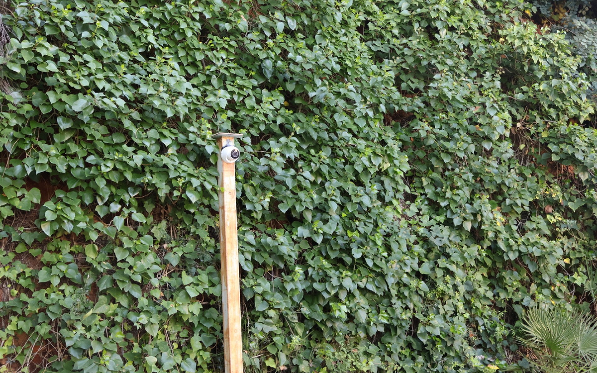 Resale - Villa - Dénia - La Sella Golf