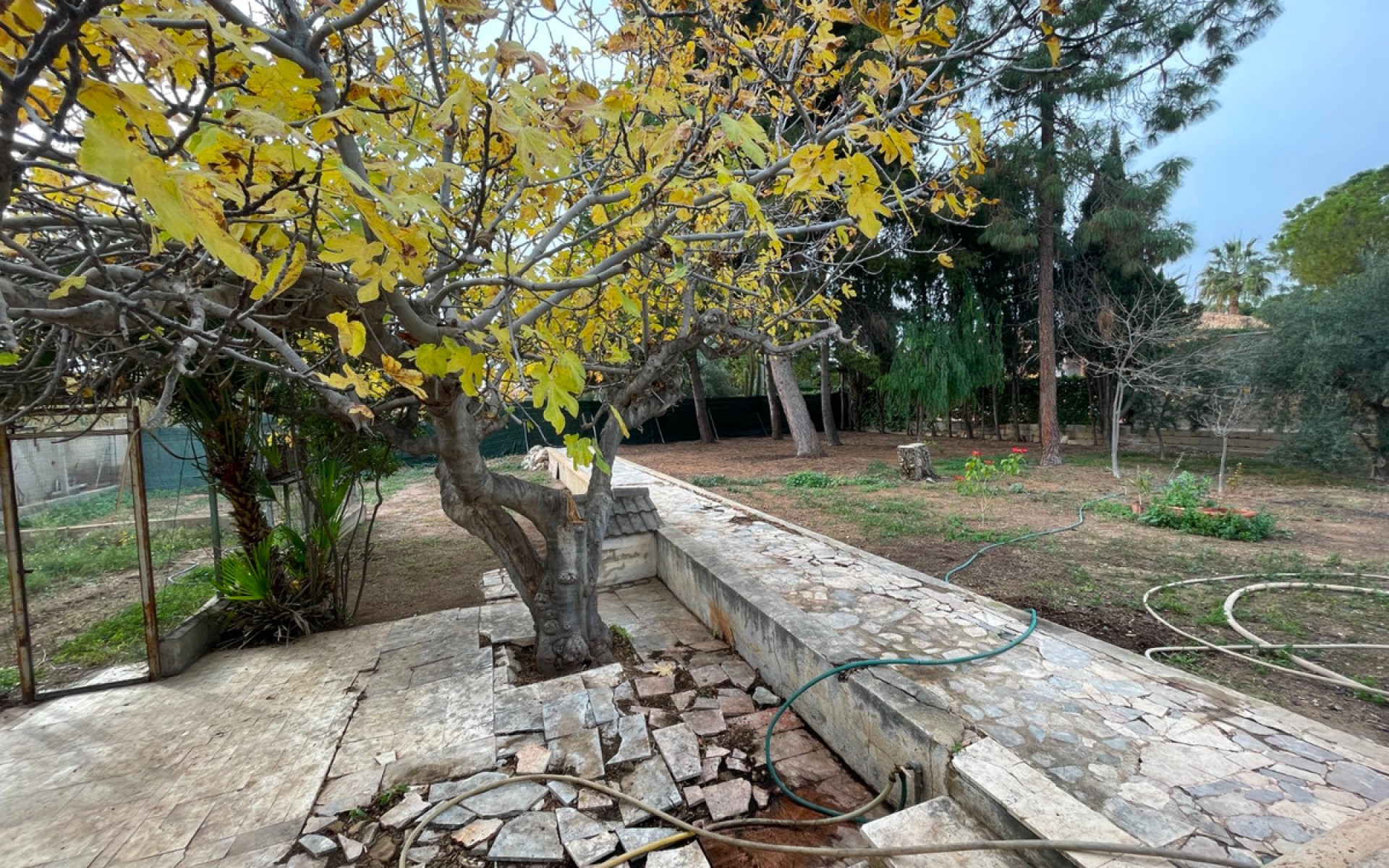 Resale - Villa - Elche - Elche Centro