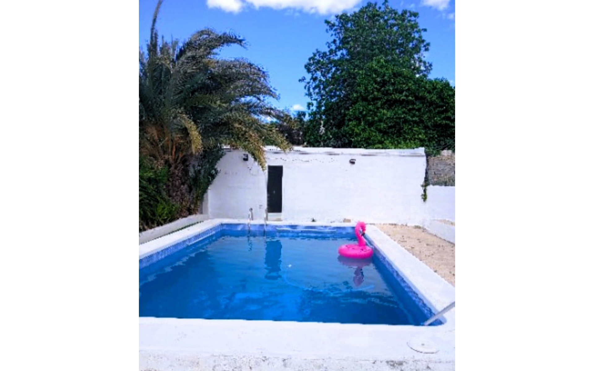 Resale - Villa - Elche - Elche Centro