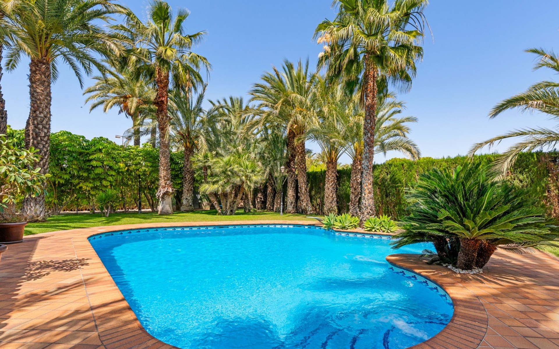 Resale - Villa - Elche - Elche Centro