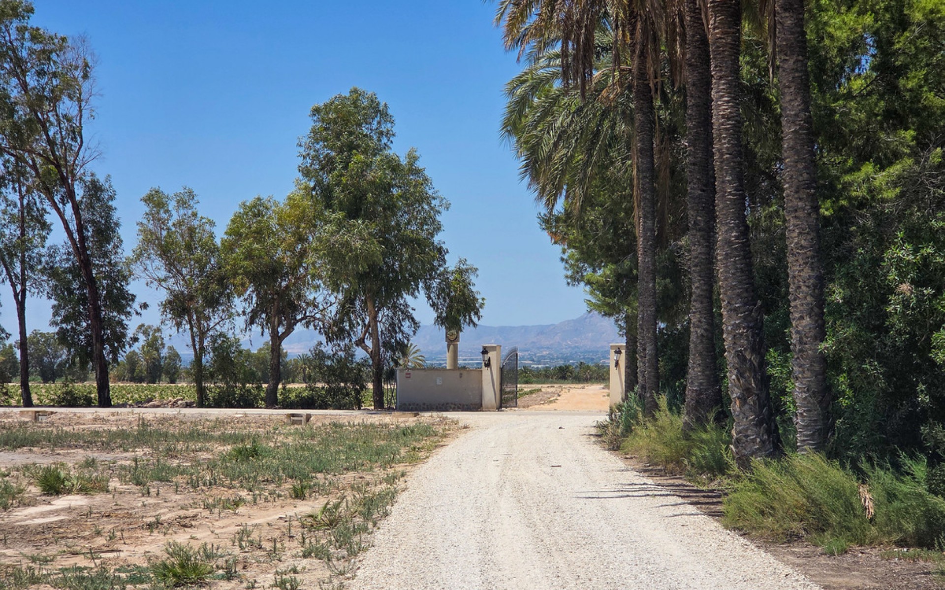 Resale - Villa - Elche - Elche Centro