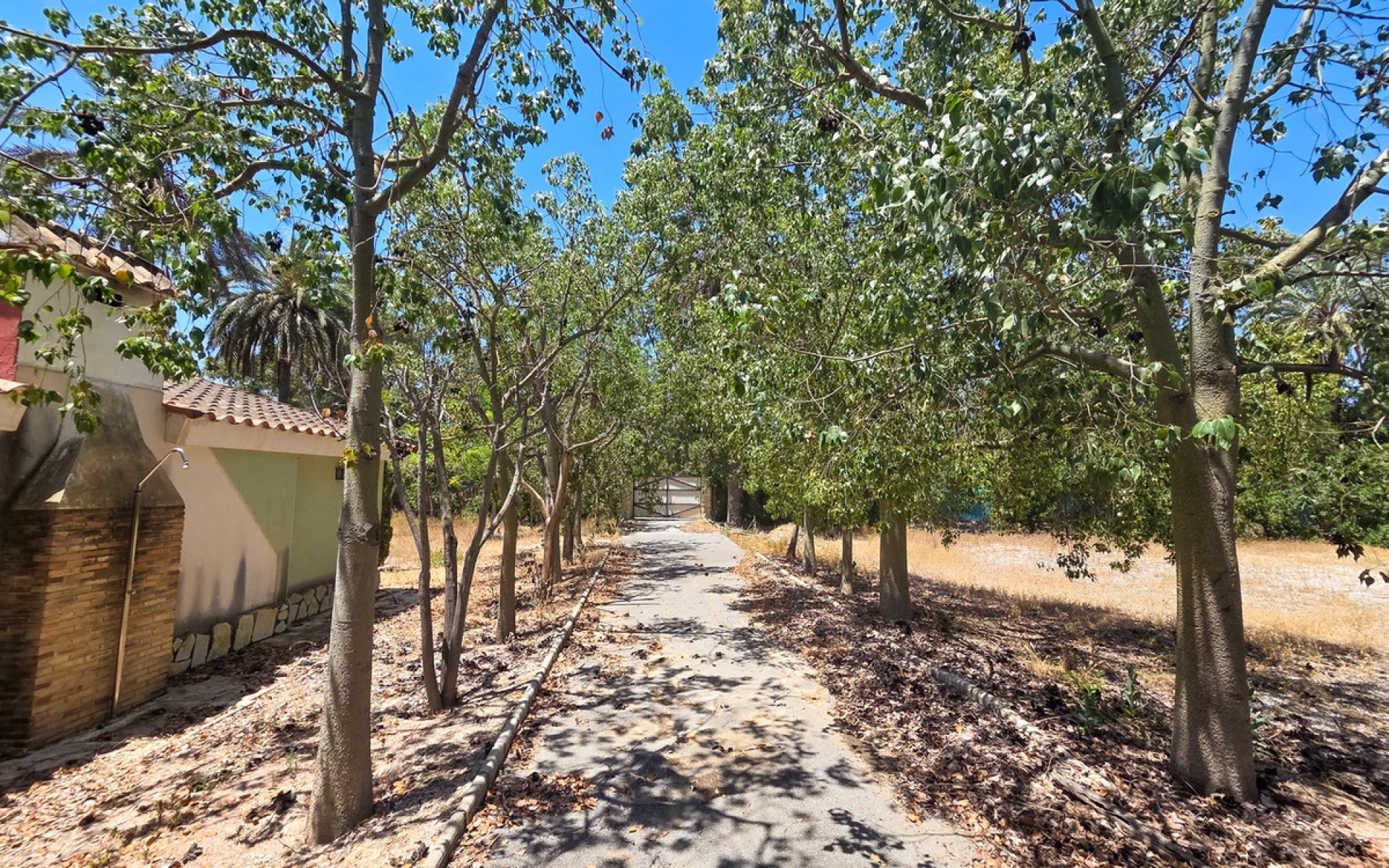 Resale - Villa - Elche - Elche Centro