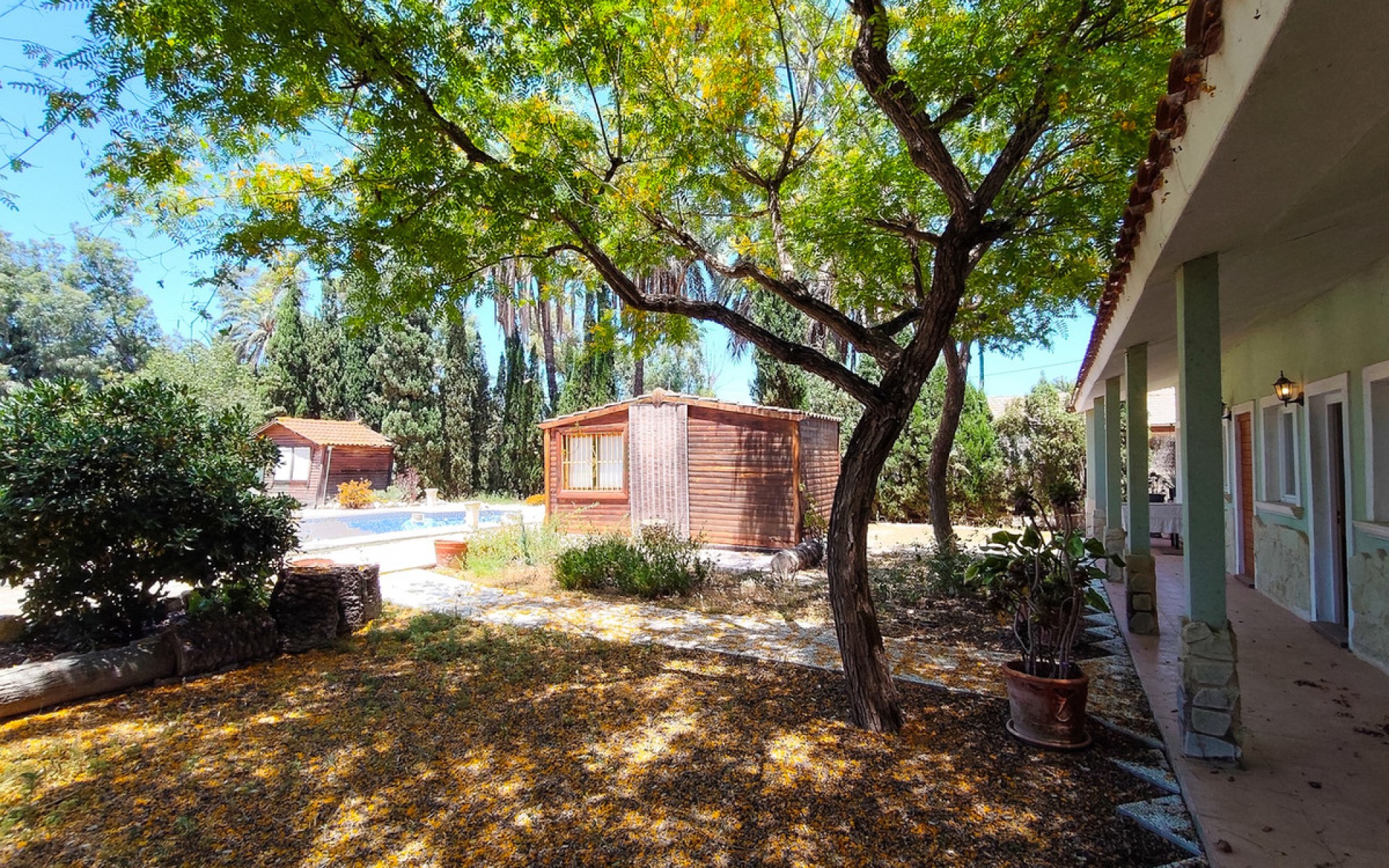 Resale - Villa - Elche - Elche Centro