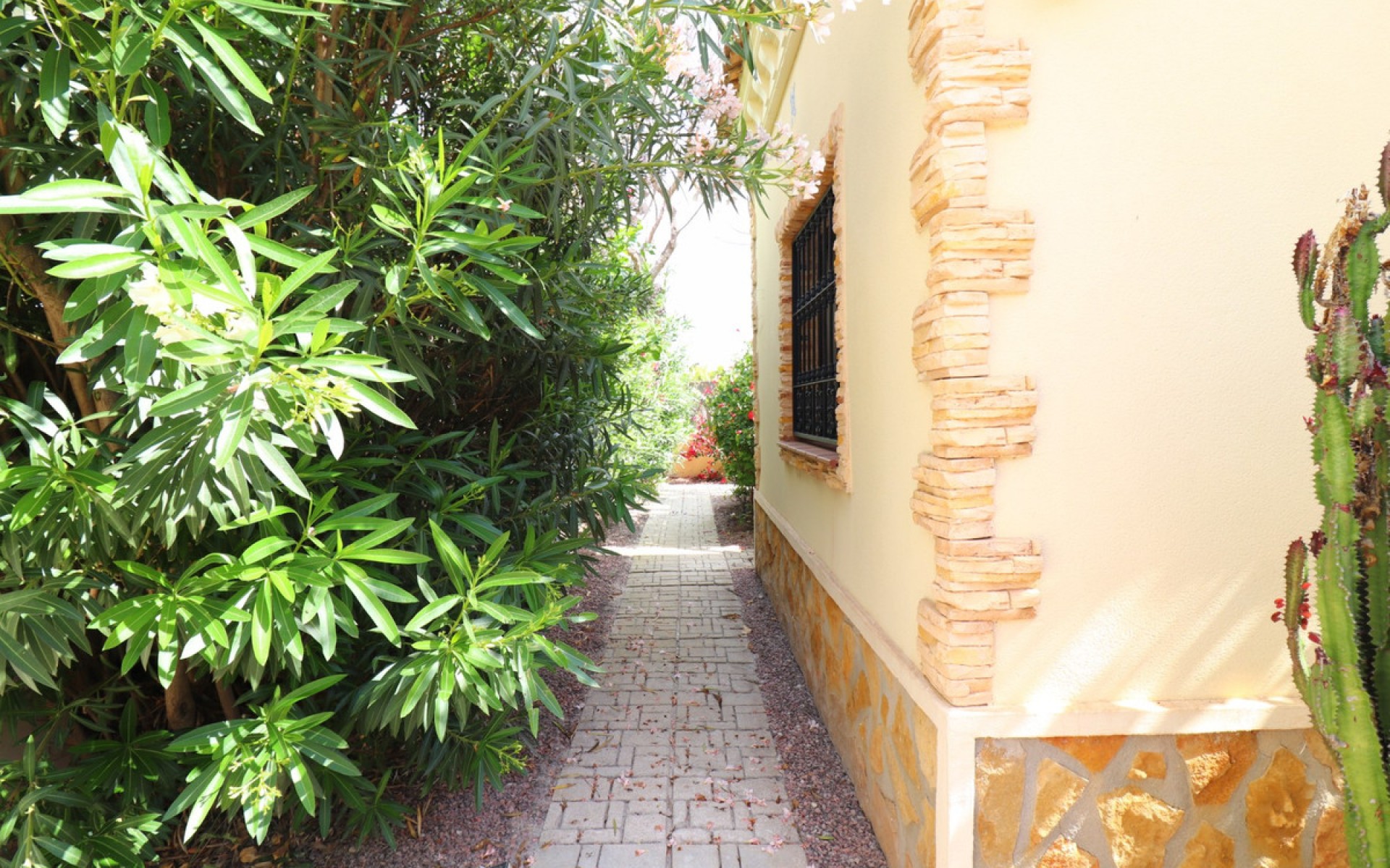 Resale - Villa - Formentera Del Segura - Formentera del Segura Centro