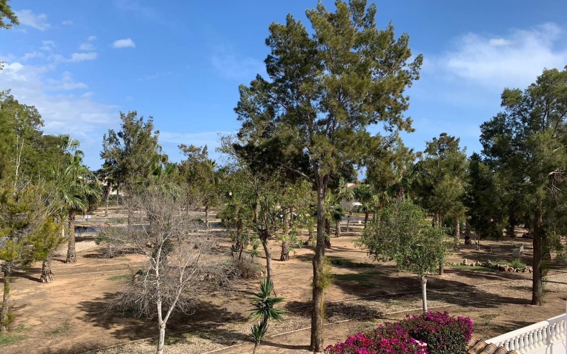 Resale - Villa - Guardamar Del Segura - El Raso