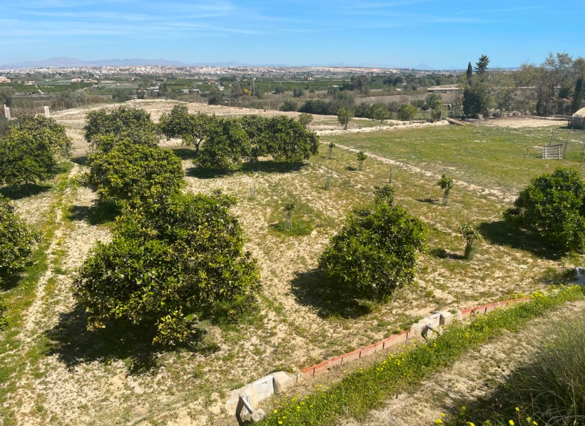 Resale - Villa - Guardamar Del Segura - Guardamar del Segura Centro