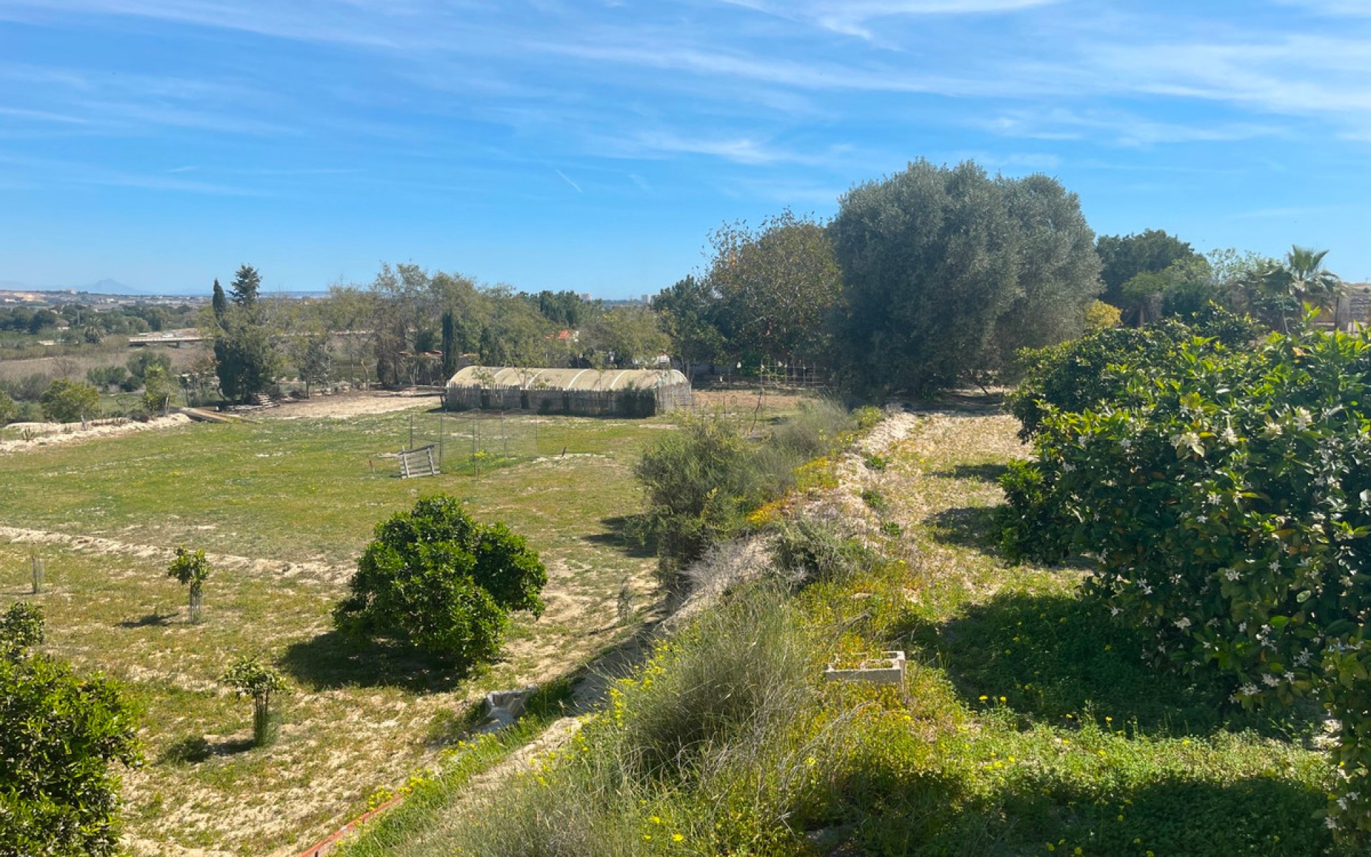 Resale - Villa - Guardamar Del Segura - Guardamar del Segura Centro