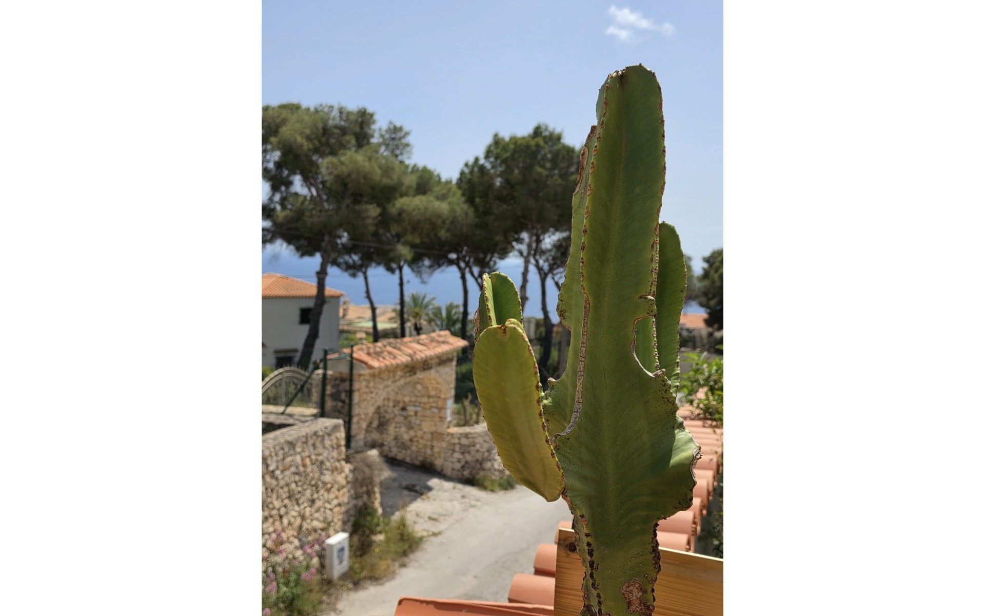 Resale - Villa - Javea - Jávea - Xàbia Centro