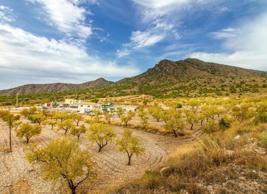 Resale - Villa - Jumilla - Jumilla Centro