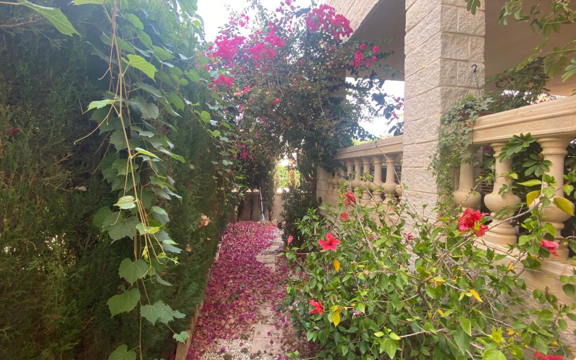 Resale - Villa - l'Alfas del Pi - Albir