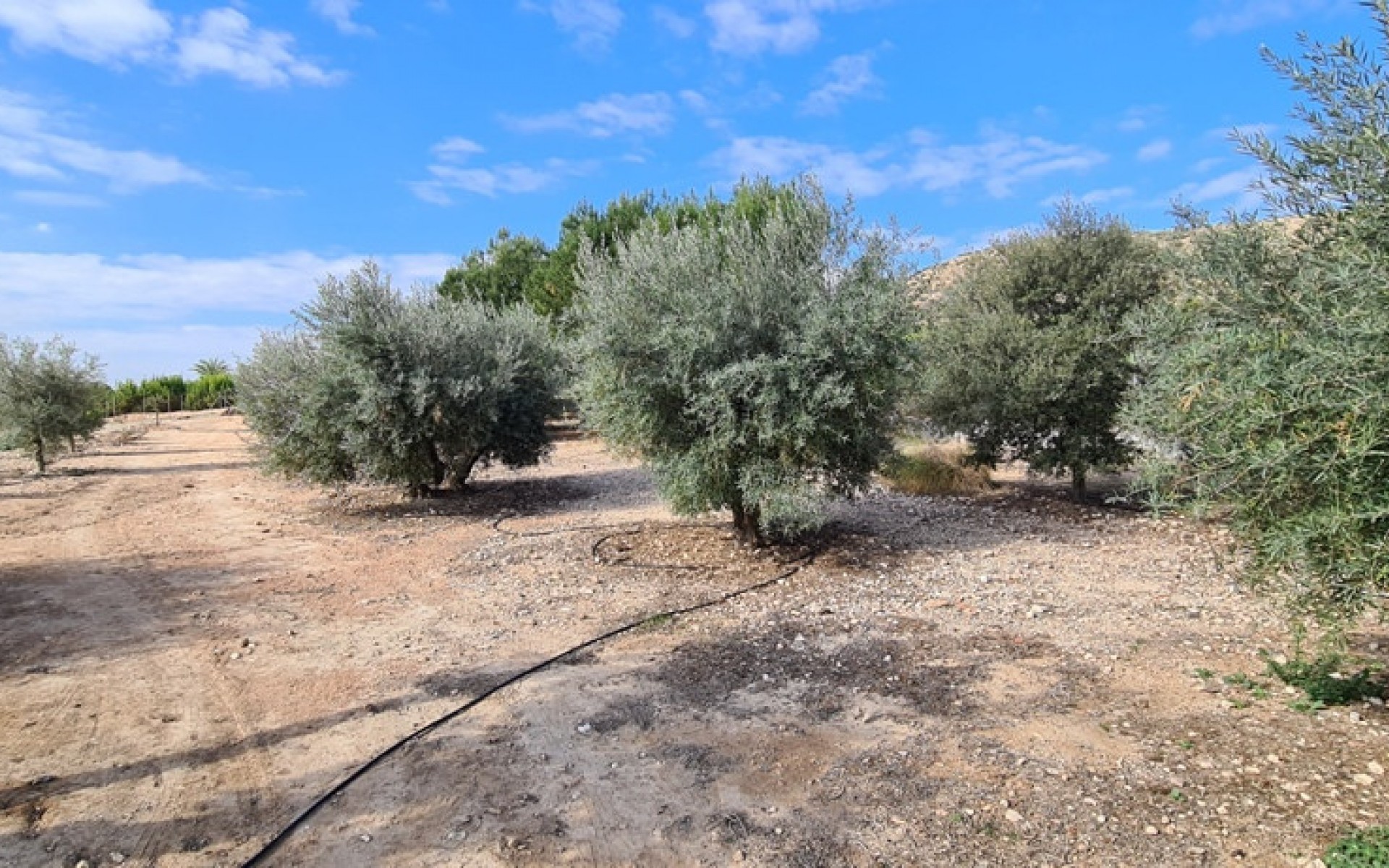 Resale - Villa - La Matanza