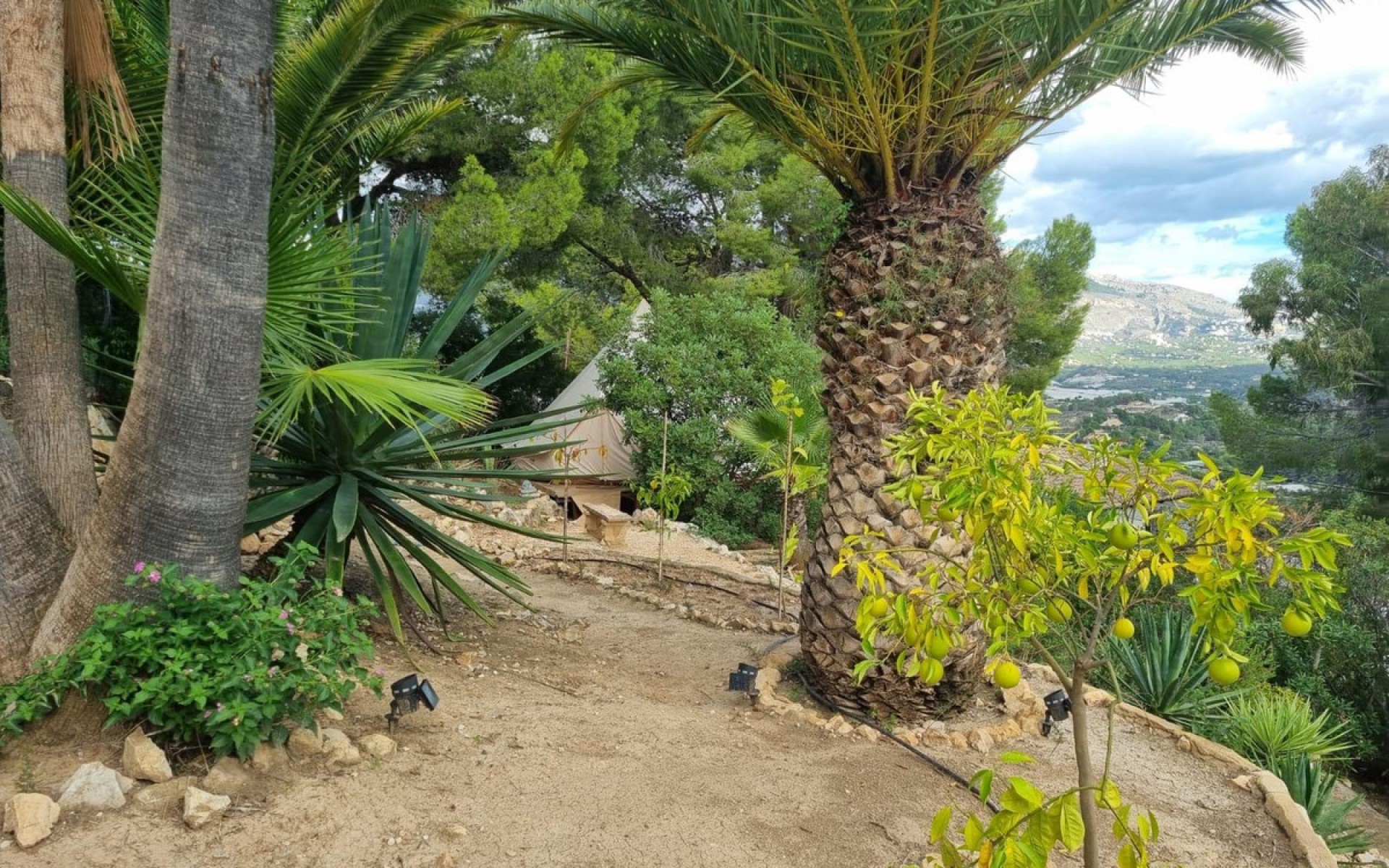 Resale - Villa - La Nucia - La Nucia Centro