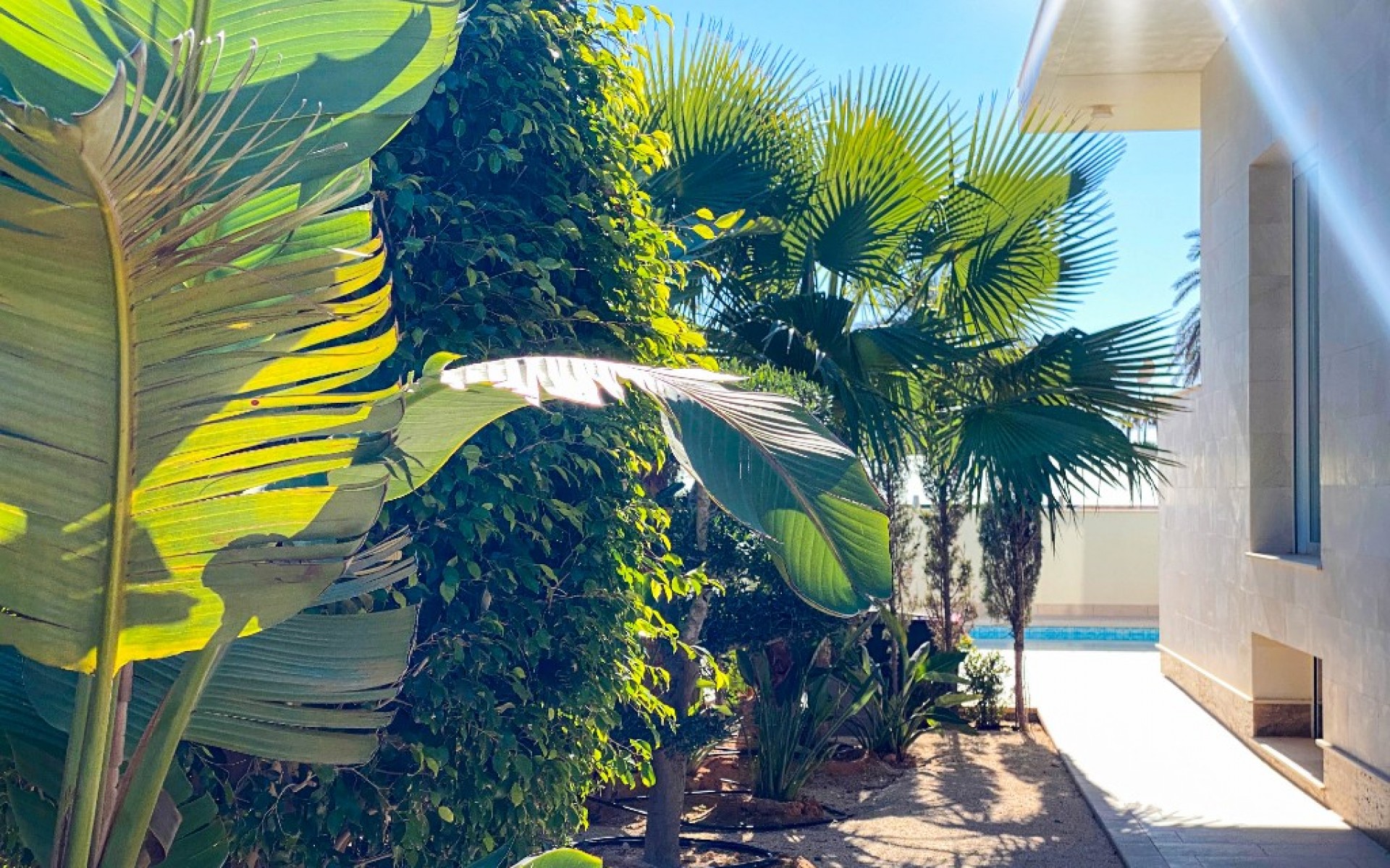 Resale - Villa - La Zenia