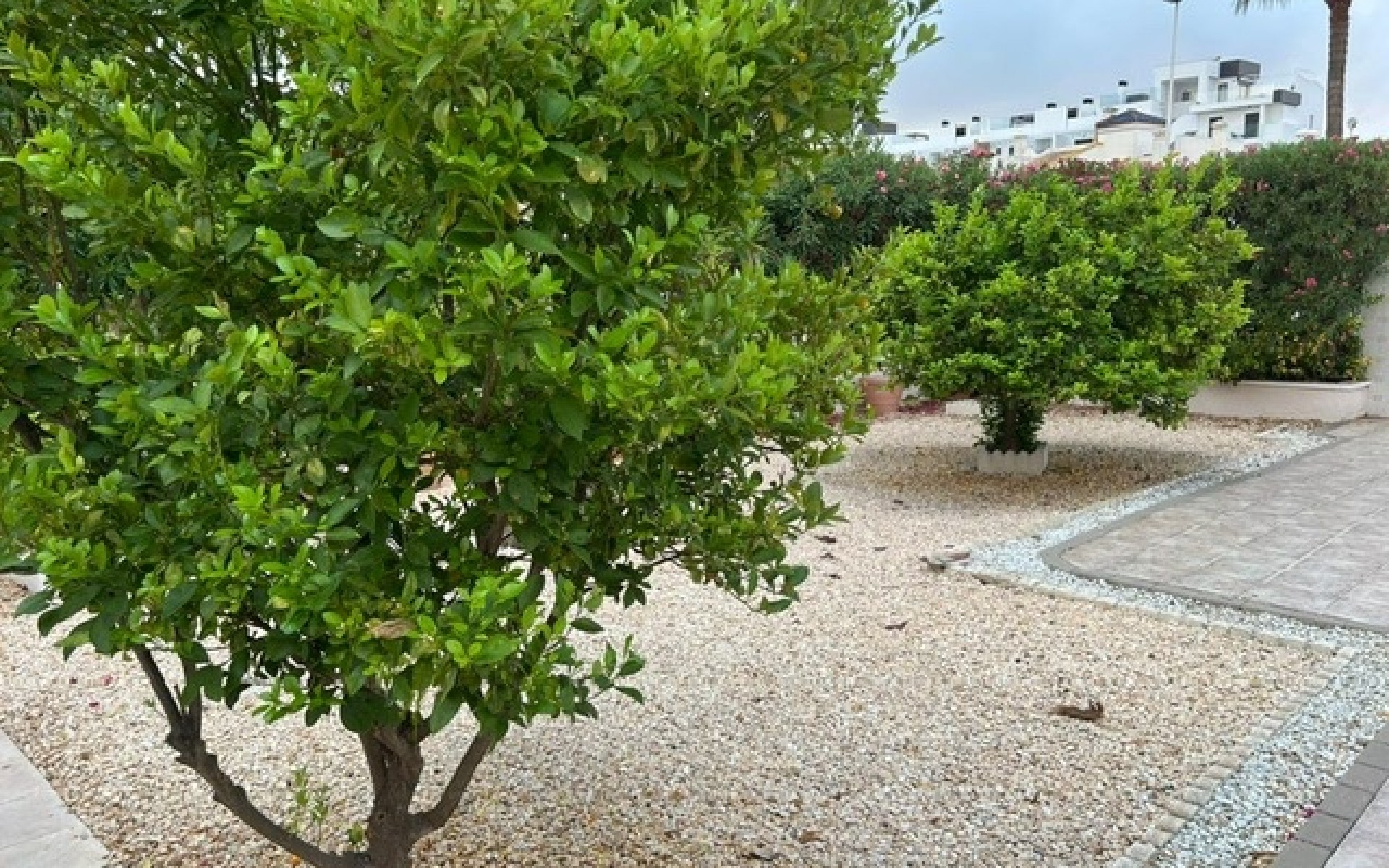 Resale - Villa - Los Dolses