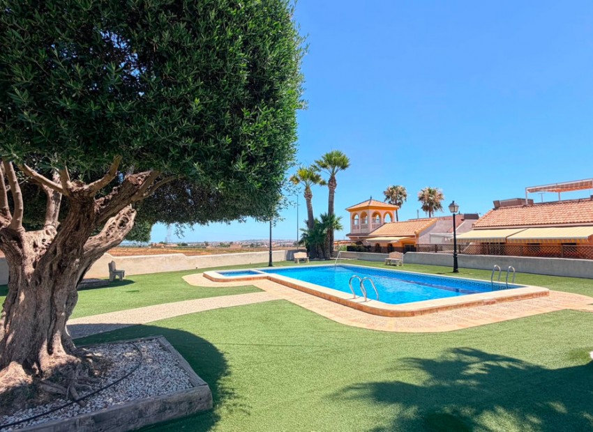 Resale - Villa - Los Montesinos - Los Montesinos Centro