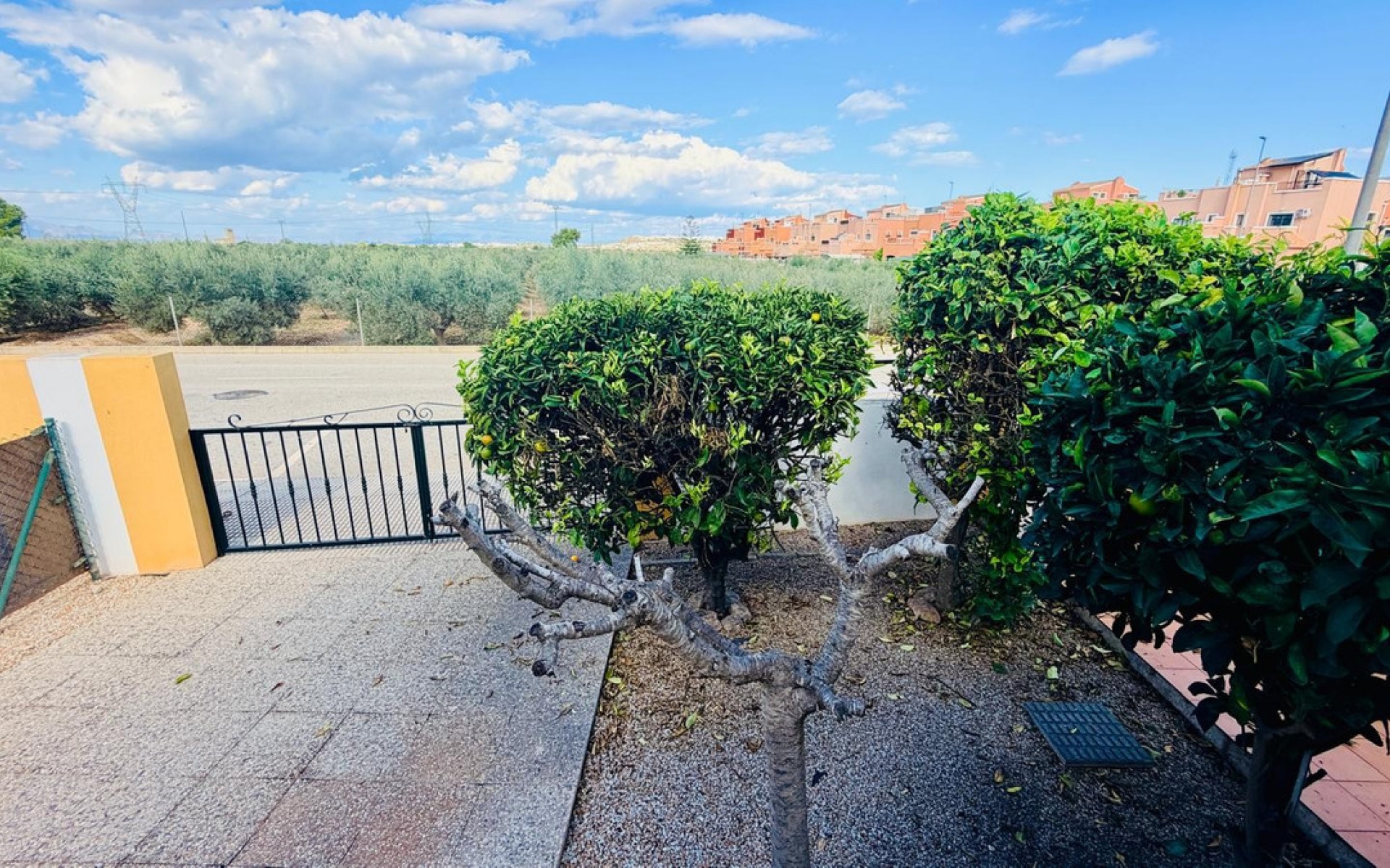 Resale - Villa - Los Montesinos - Los Montesinos Centro