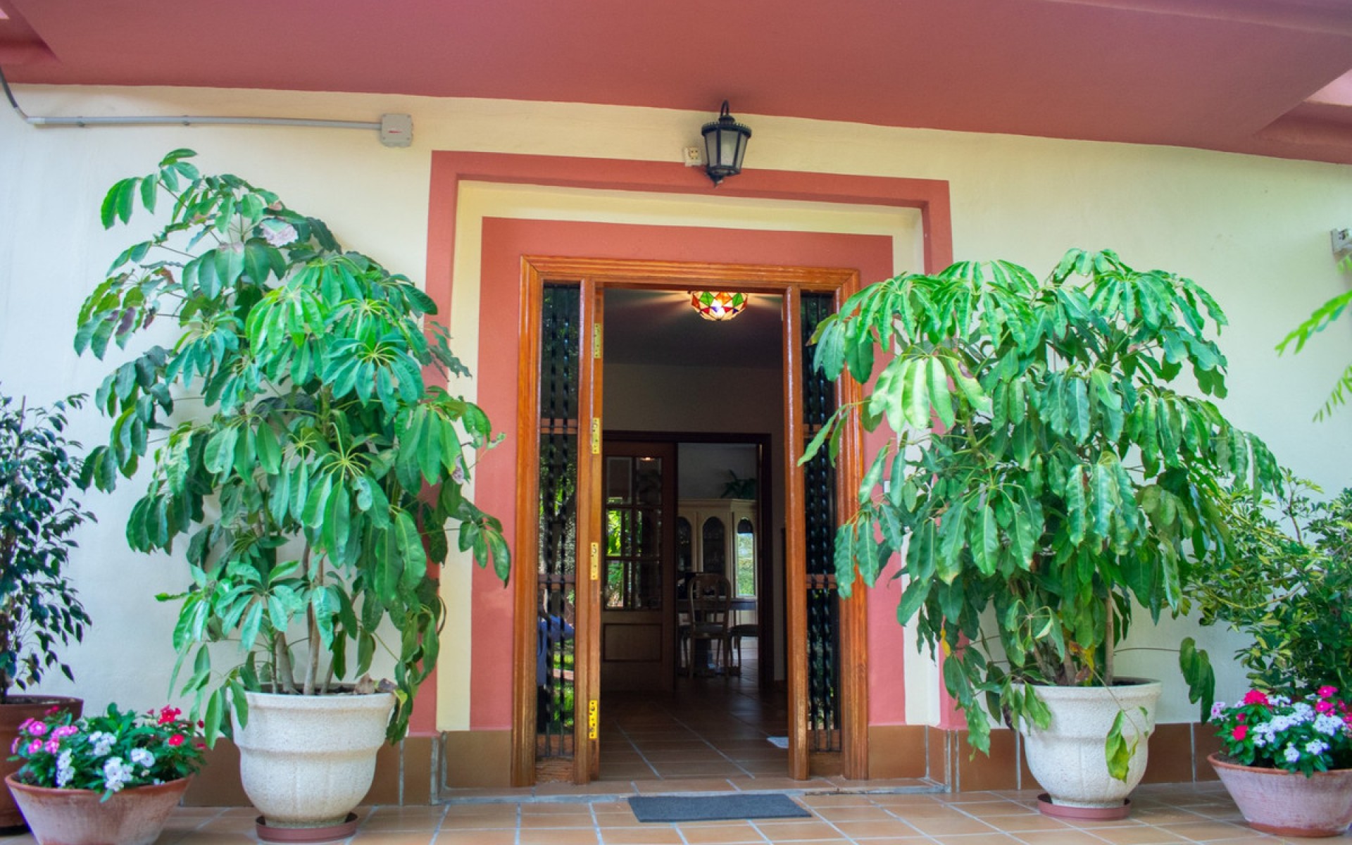 Resale - Villa - Molina De Segura - Molina de Segura Centro