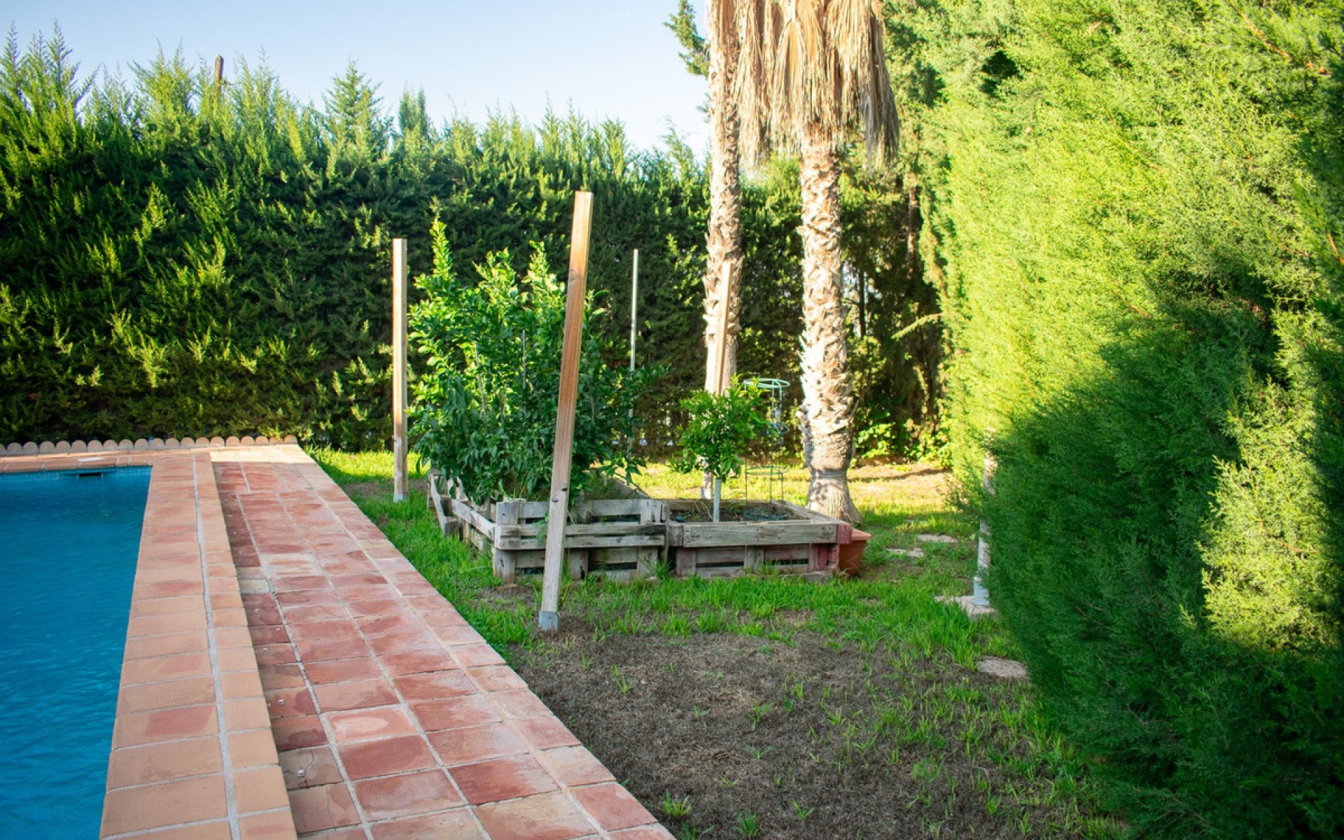 Resale - Villa - Molina De Segura - Molina de Segura Centro