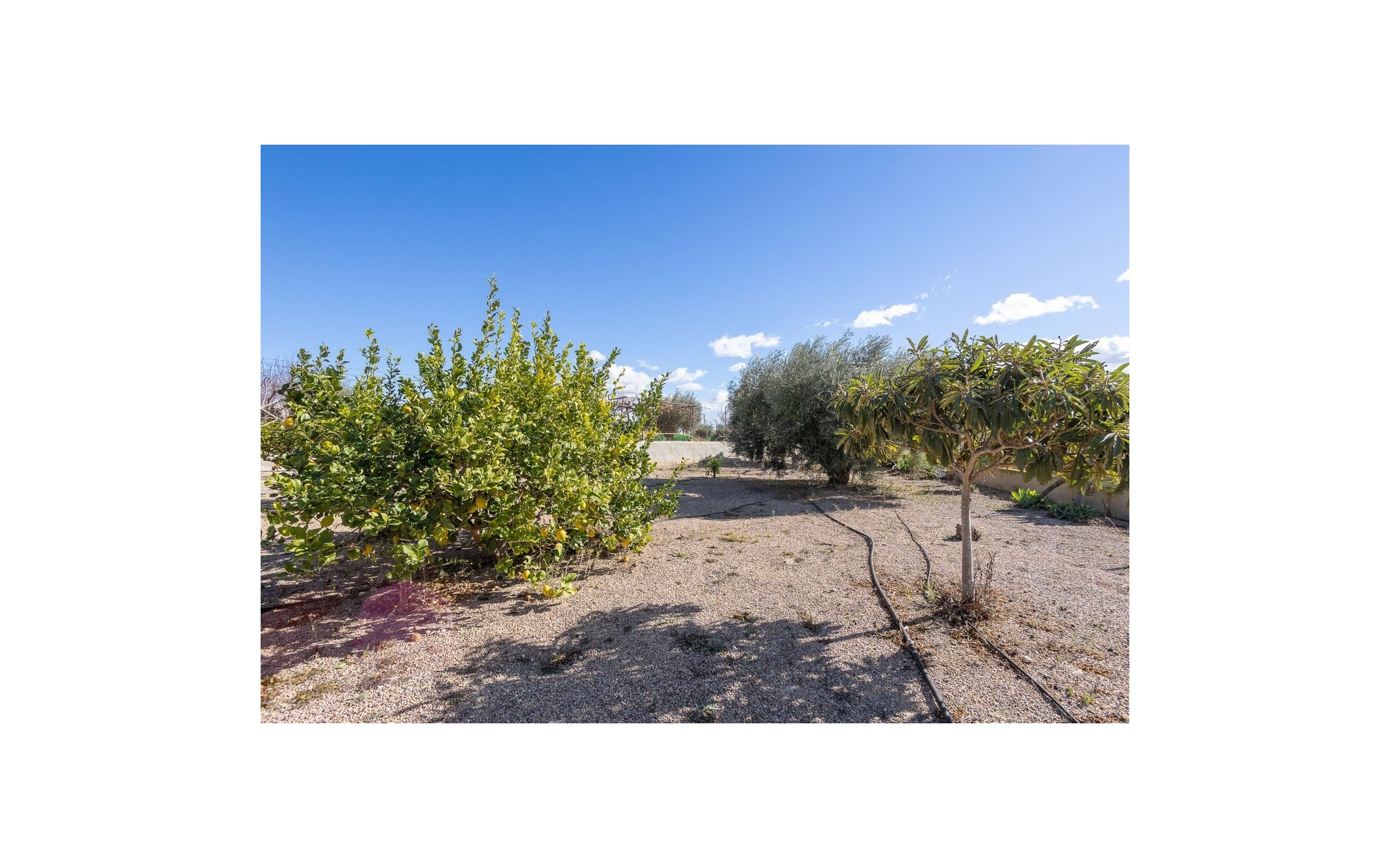 Resale - Villa - Murcia - Corvera