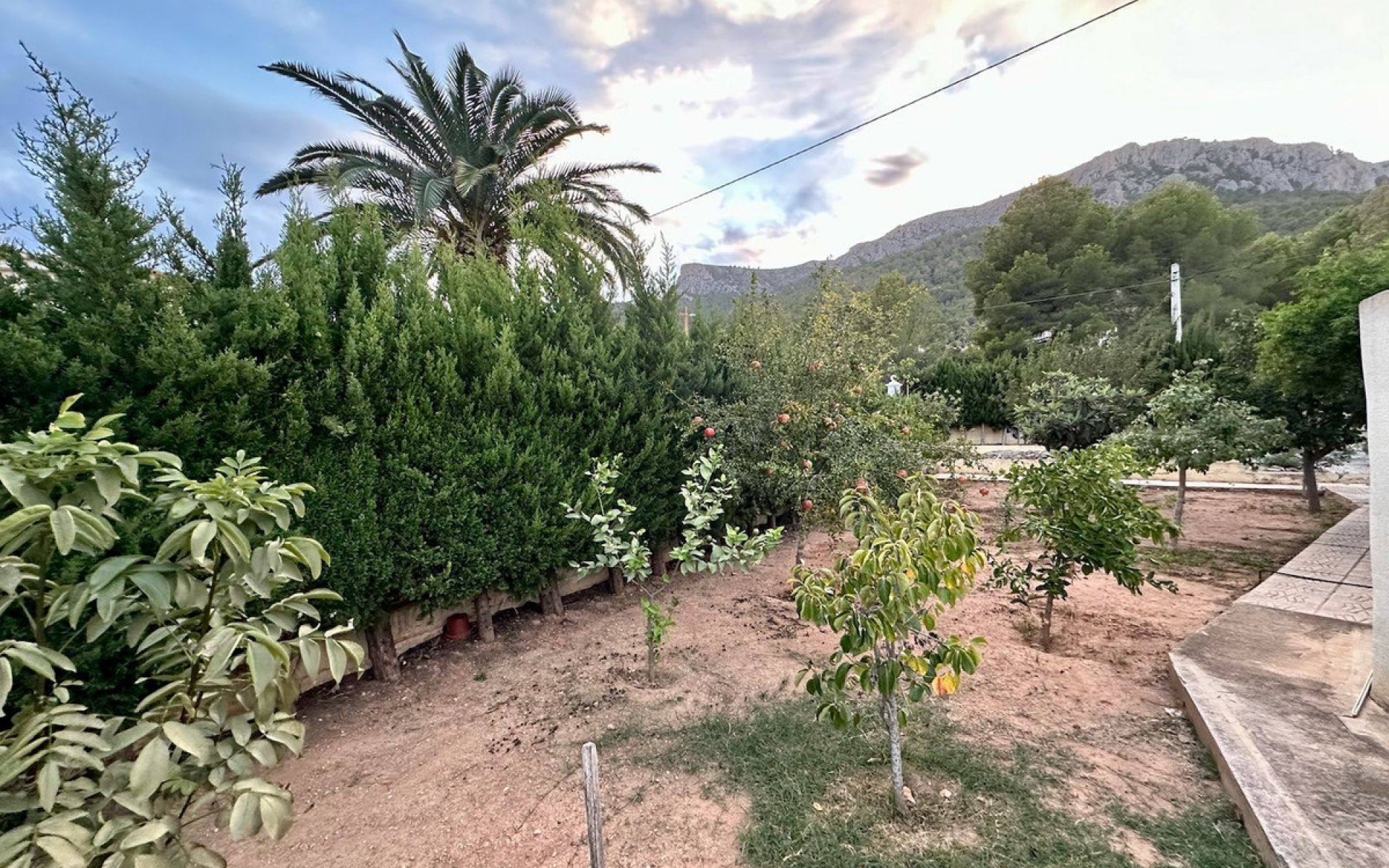 Resale - Villa - Novelda - Estación