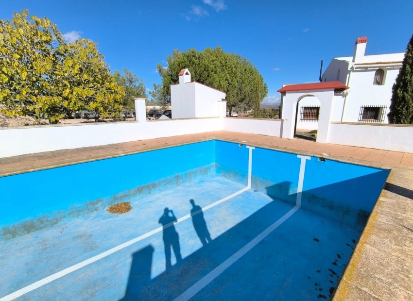 Resale - Villa - Novelda - Novelda Centro