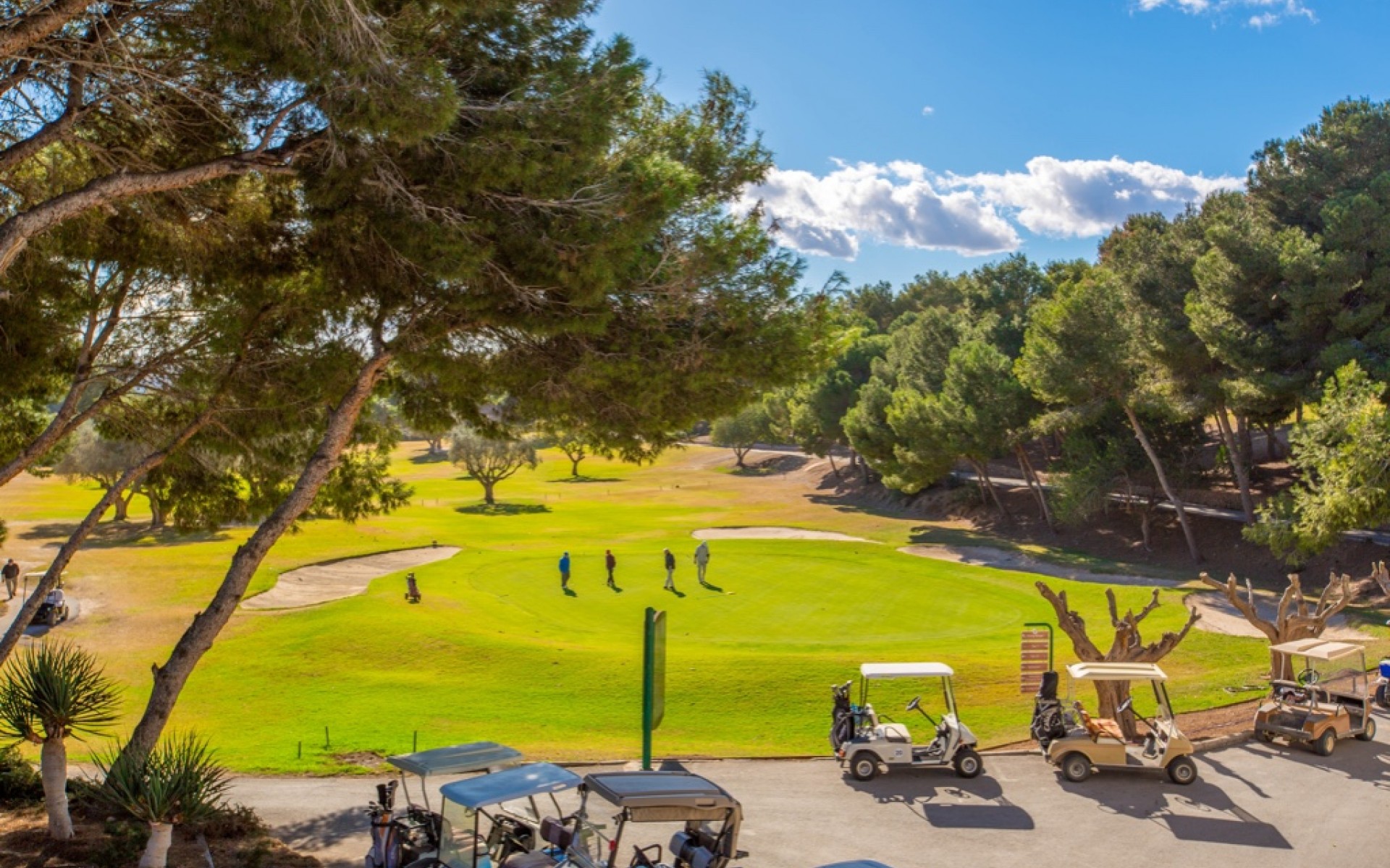 Resale - Villa - Orihuela Costa - Villamartin