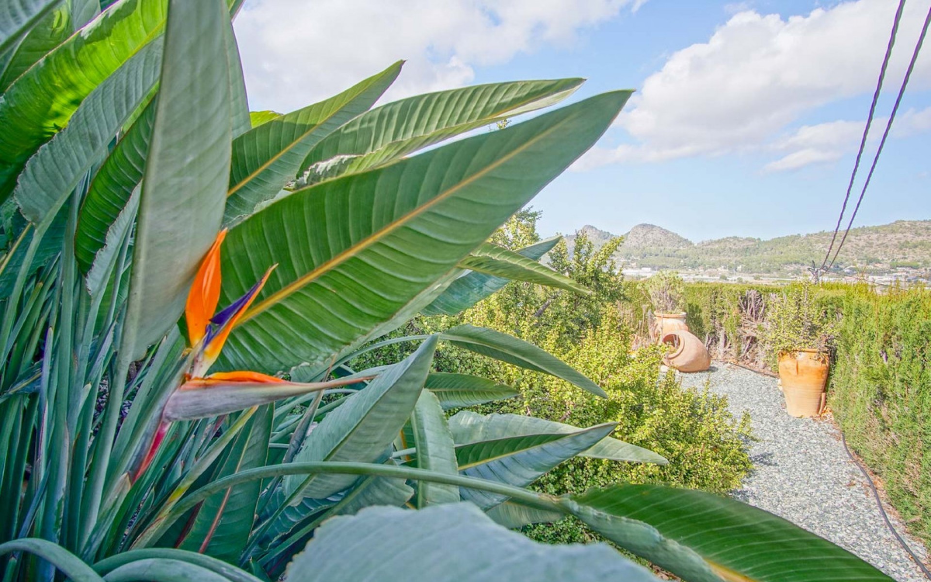 Resale - Villa - Pedreguer - Pedreguer Centro