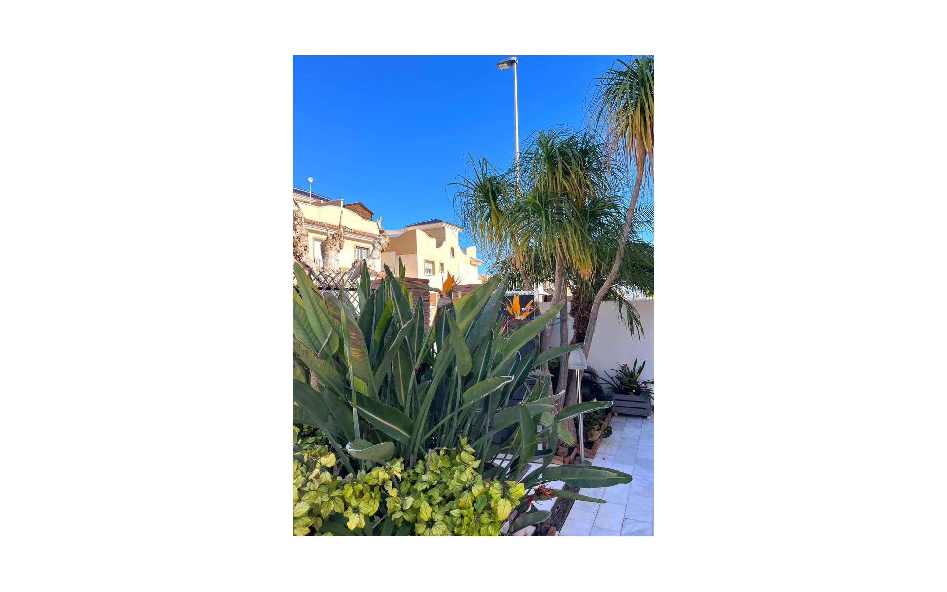 Resale - Villa - Pilar de la Horadada - Torre de la Horadada