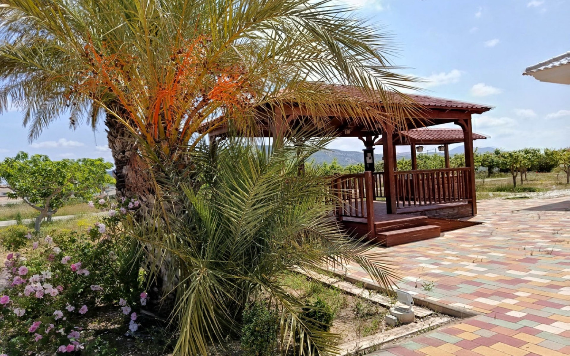 Resale - Villa - Pinoso - Pinoso Centro