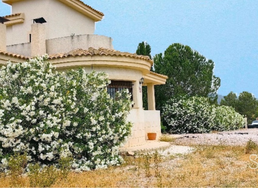 Resale - Villa - Pinoso - Pinoso Centro