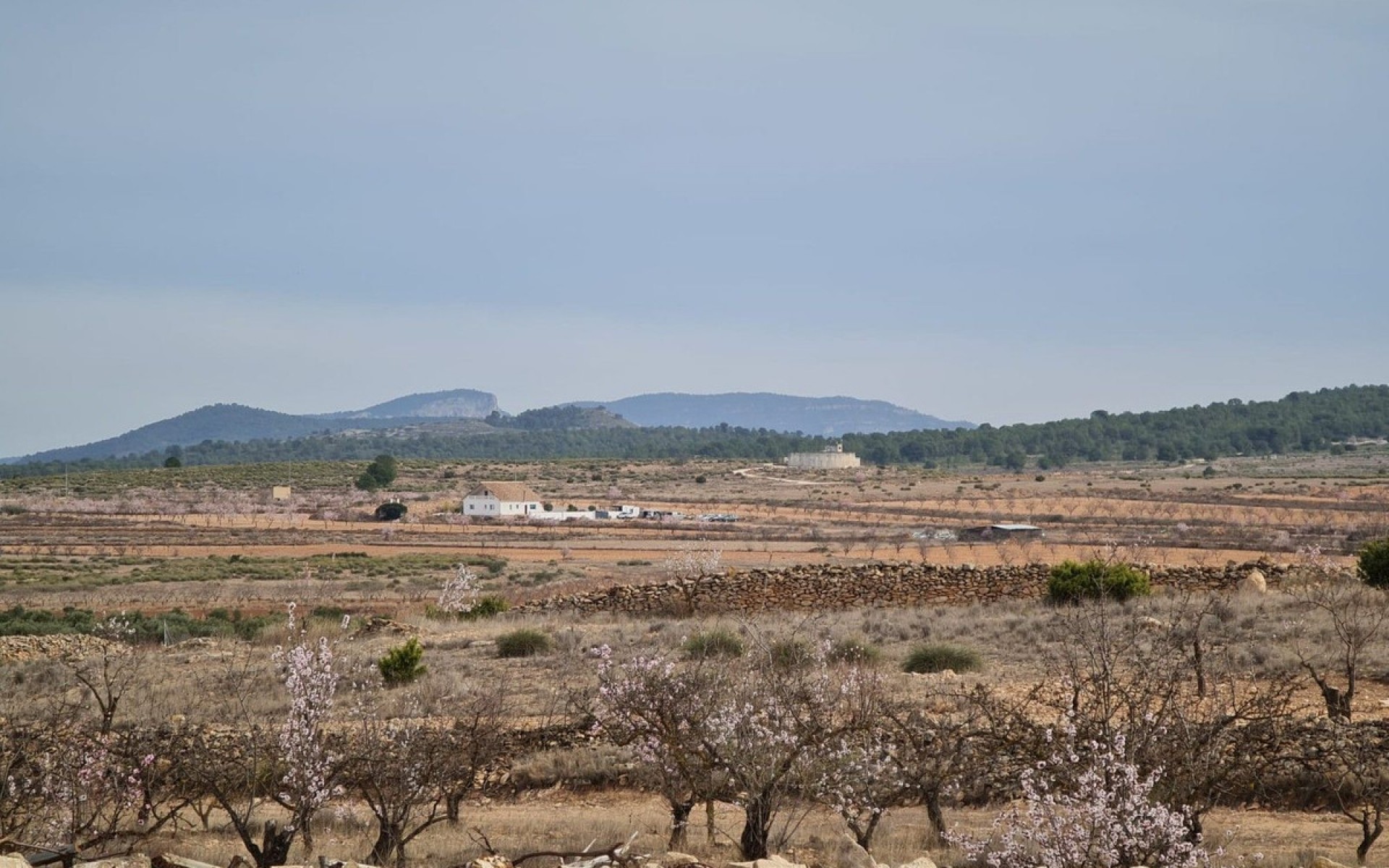 Resale - Villa - Pinoso - Pinoso Centro
