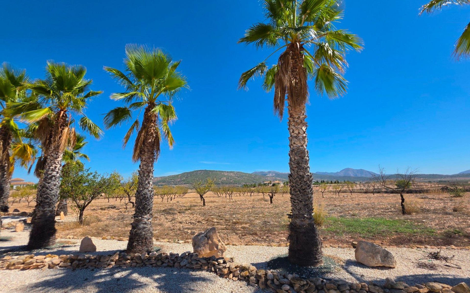 Resale - Villa - Pinoso - Pinoso Centro