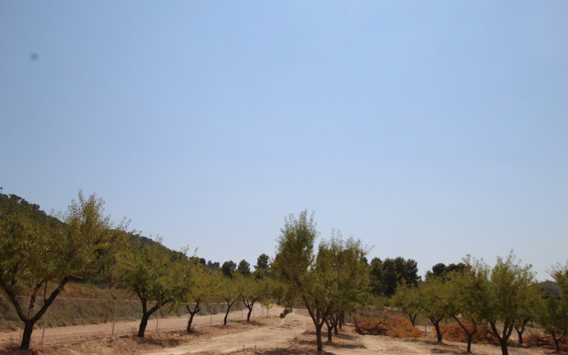 Resale - Villa - Pinoso - Pinoso Centro