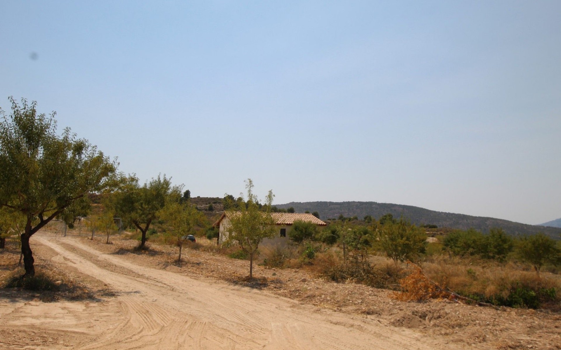 Resale - Villa - Pinoso - Pinoso Centro
