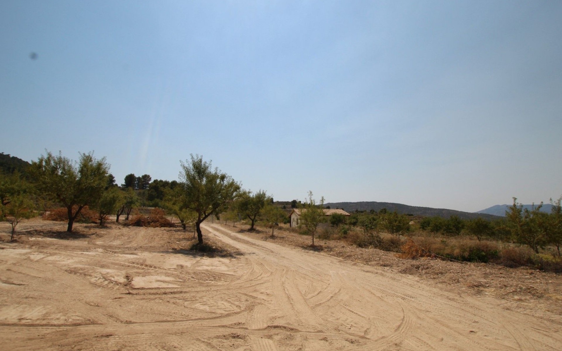 Resale - Villa - Pinoso - Pinoso Centro
