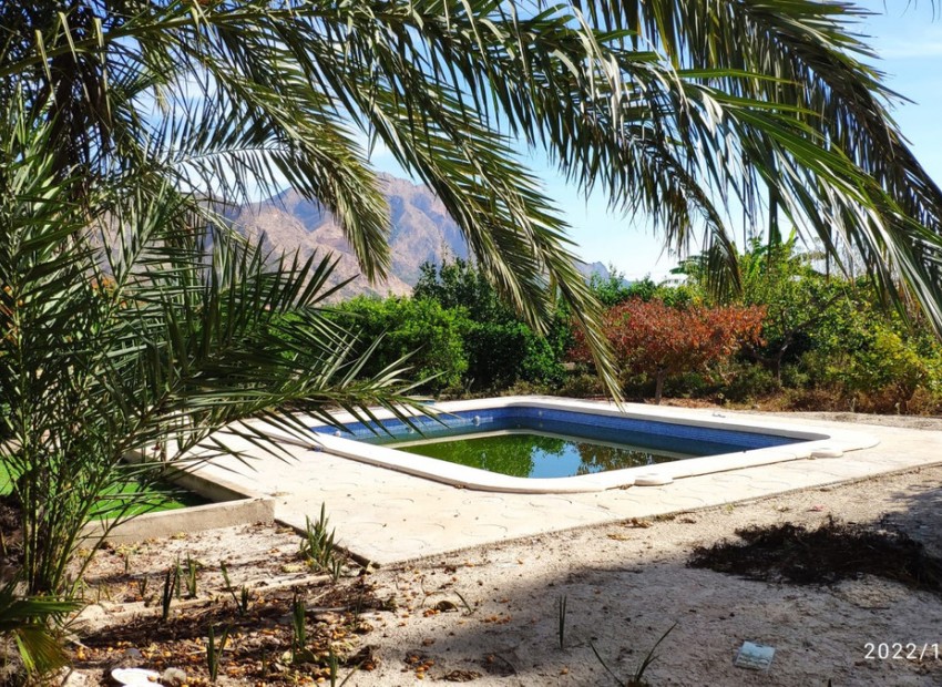 Resale - Villa - Redovan - Redován