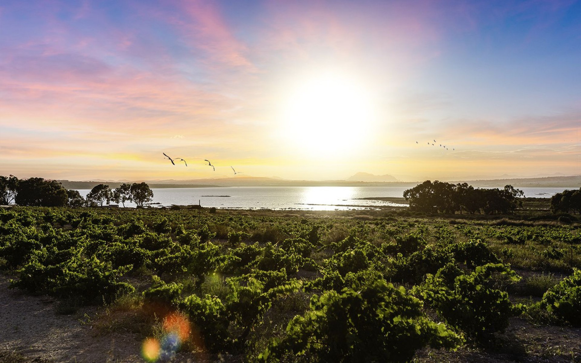 Resale - Villa - Rojales - Ciudad Quesada