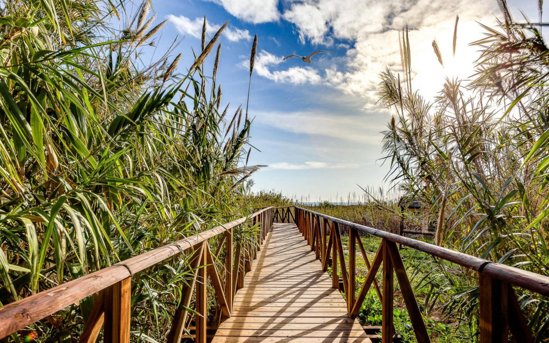 Resale - Villa - San Fulgencio - La Marina