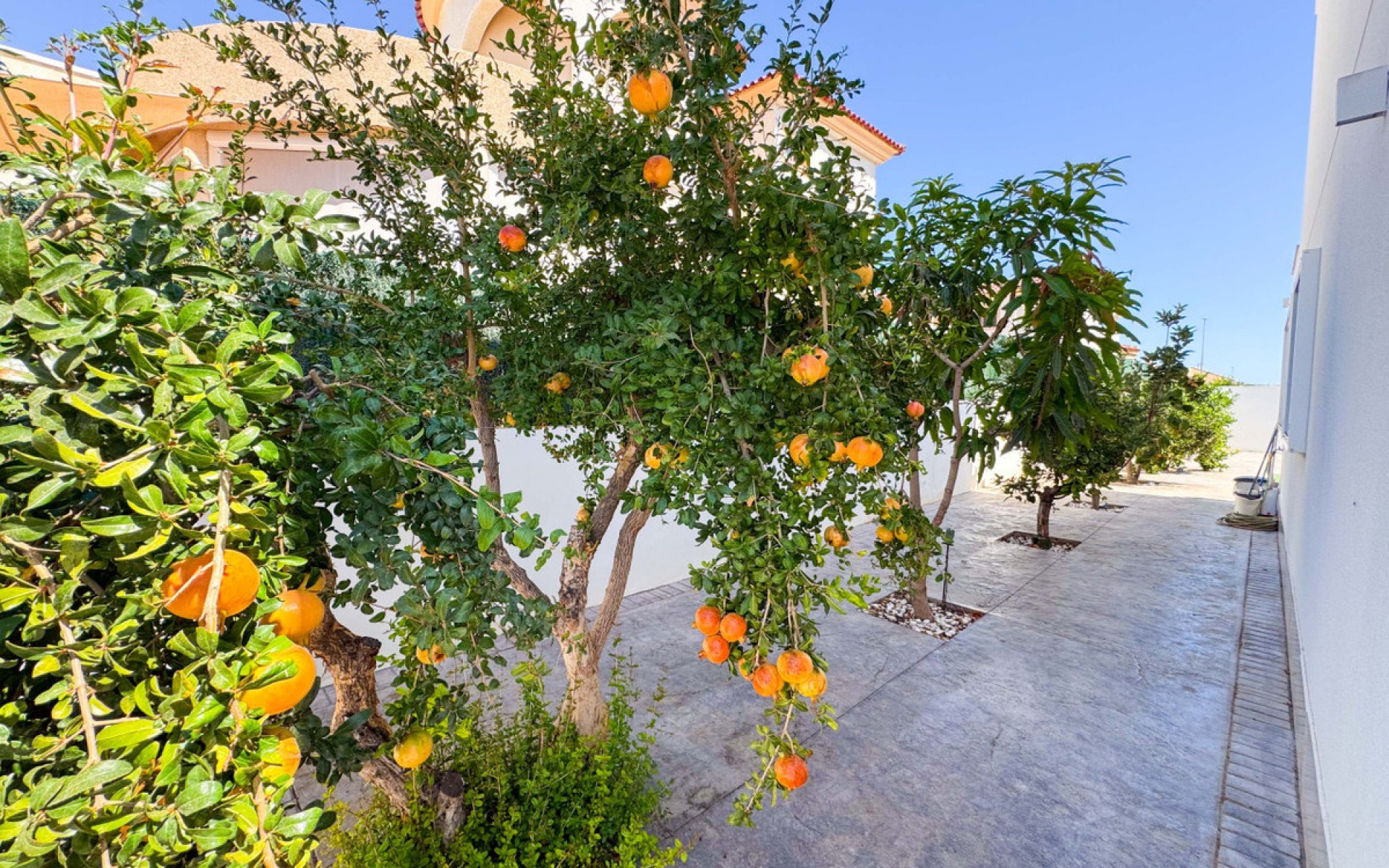 Resale - Villa - San Fulgencio - San Fulgencio Centro