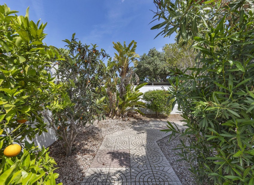 Resale - Villa - San Fulgencio - San Fulgencio Centro