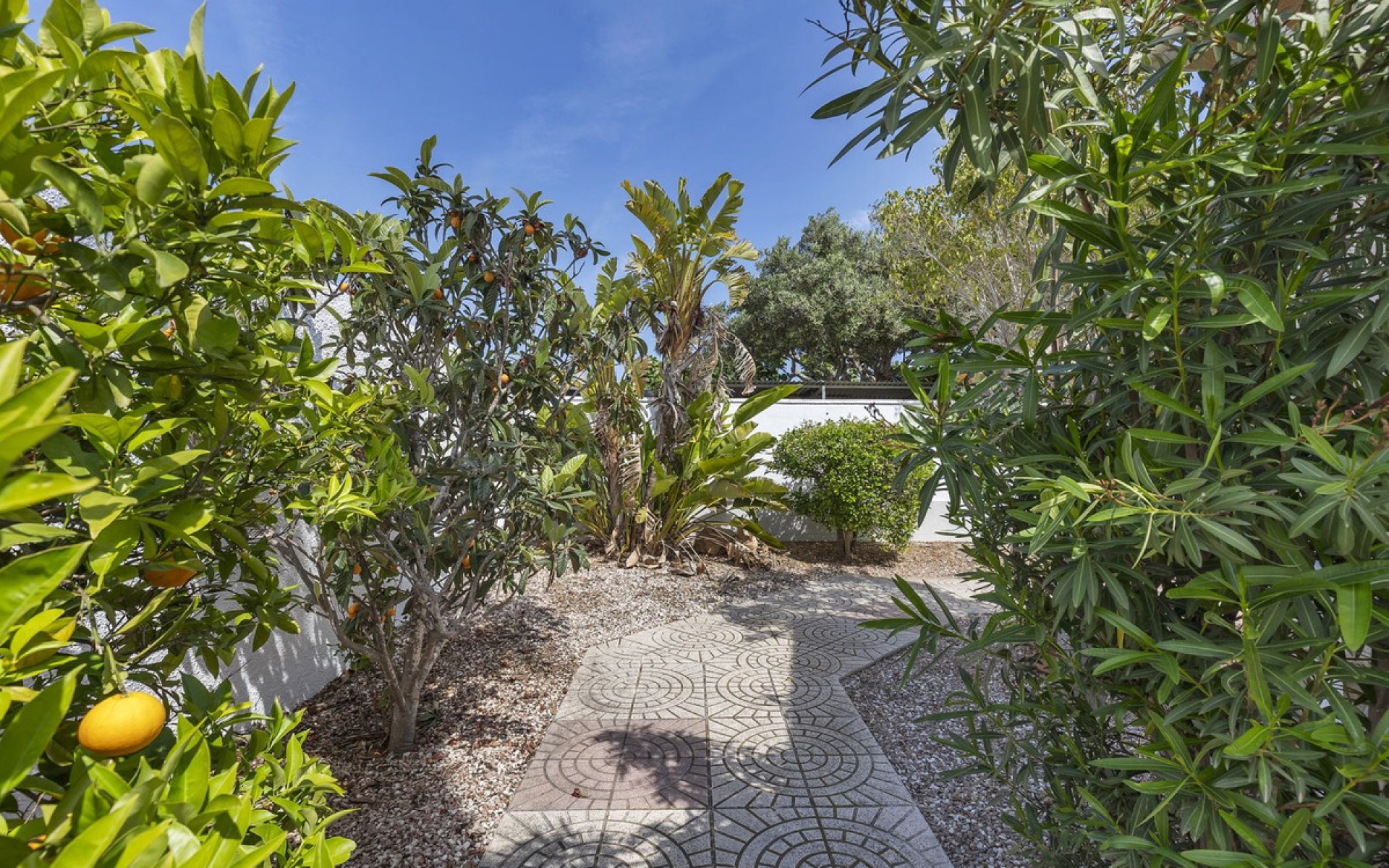 Resale - Villa - San Fulgencio - San Fulgencio Centro