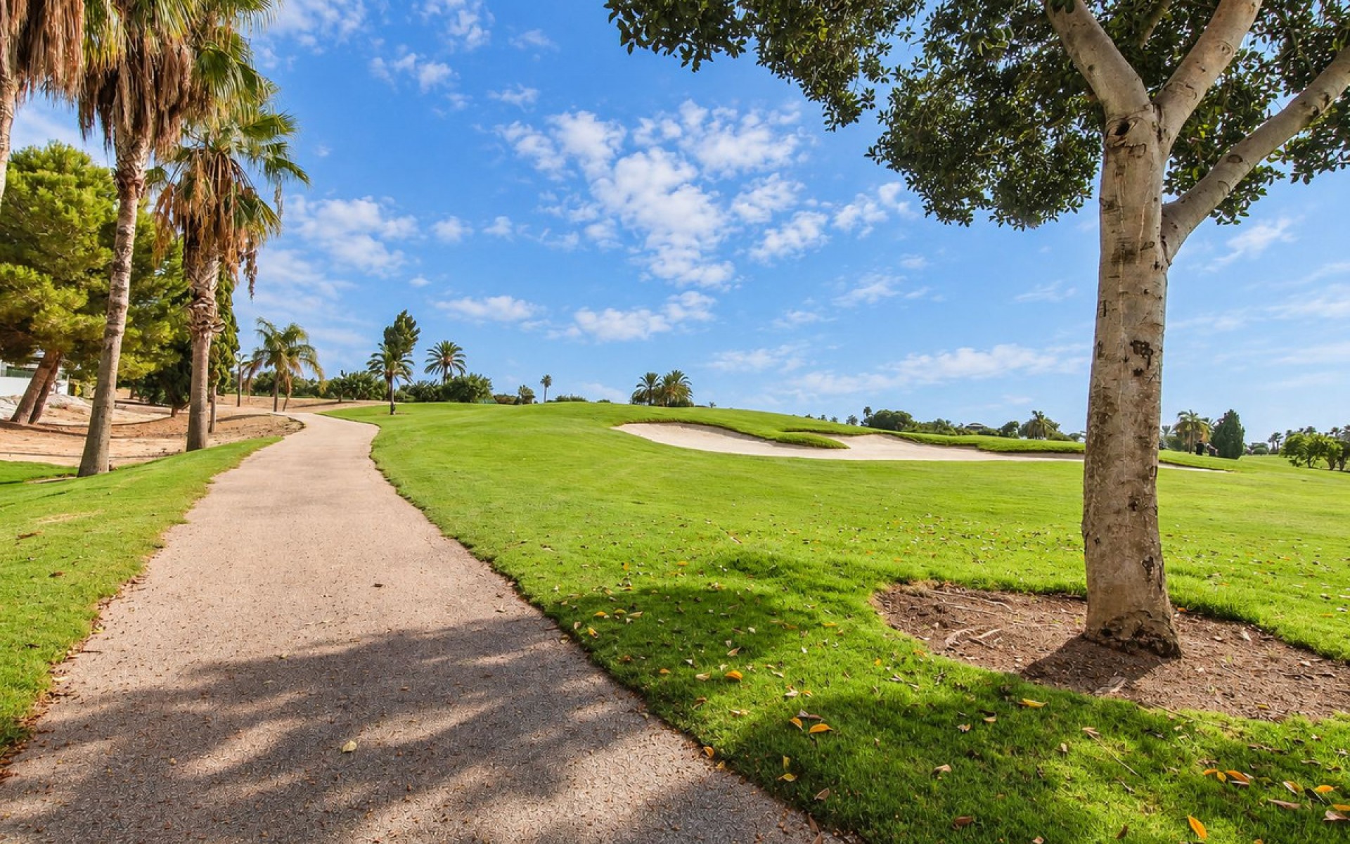 Resale - Villa - San Javier - Roda Golf