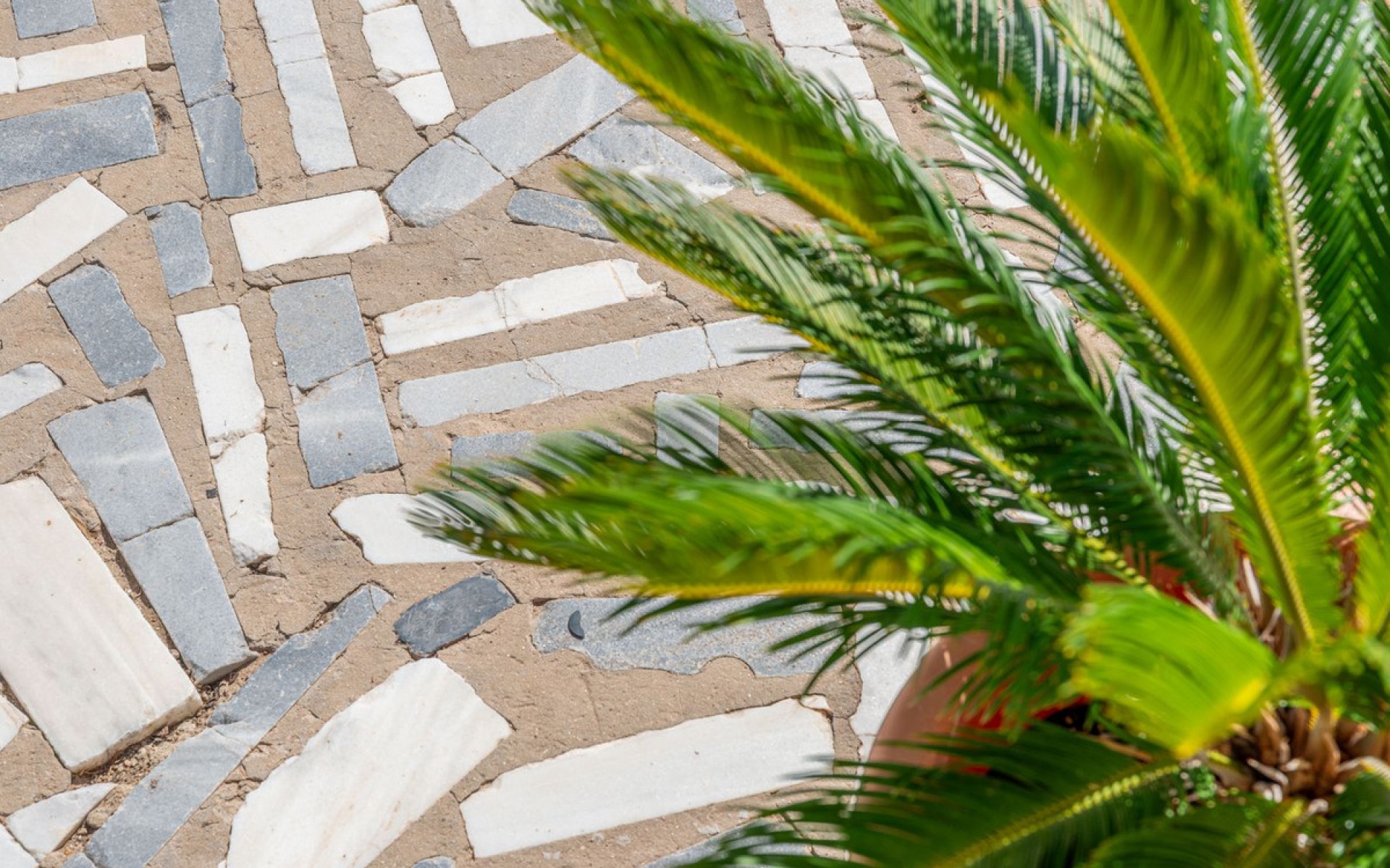 Resale - Villa - San Juan de Alicante - San Juan de Alicante Centro