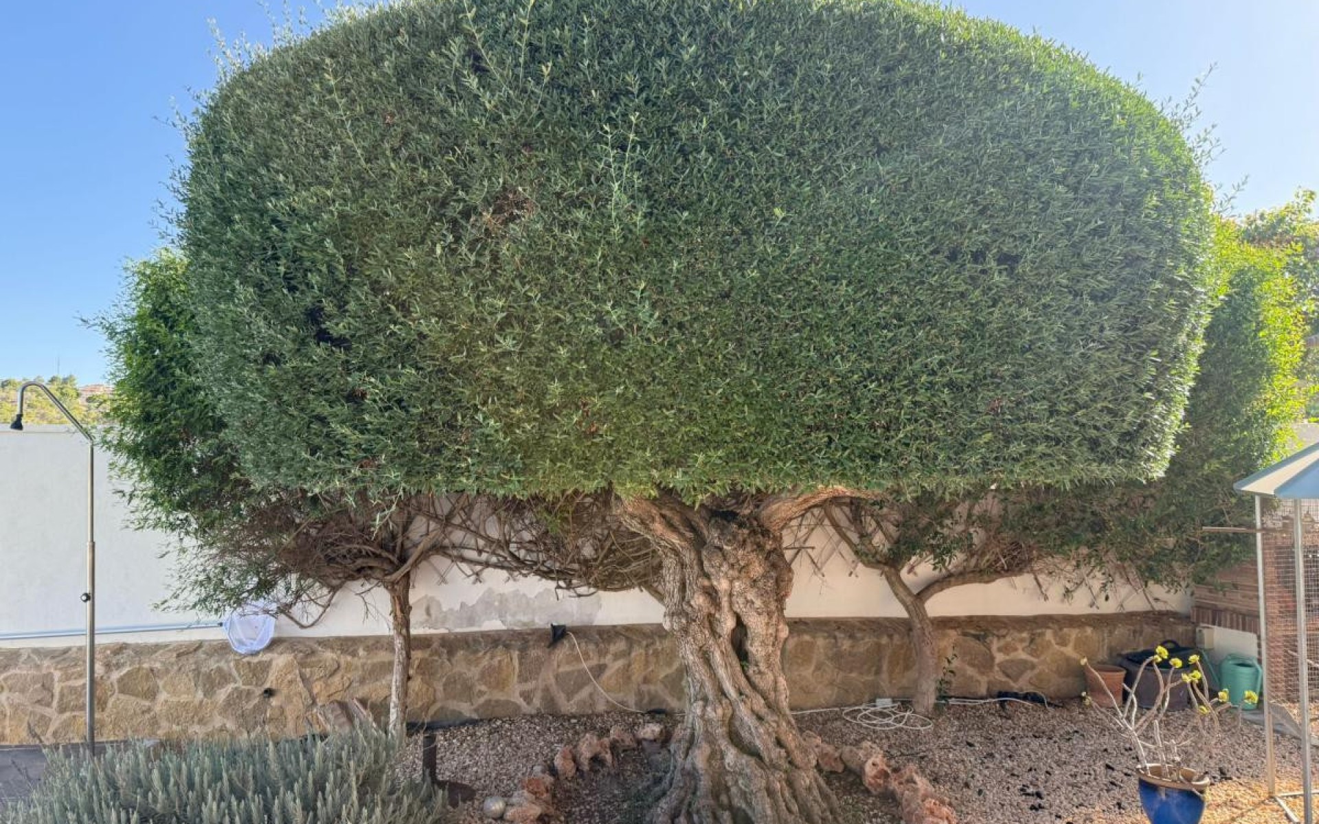 Resale - Villa - San Miguel De Salinas - San Miguel de Salinas Centro