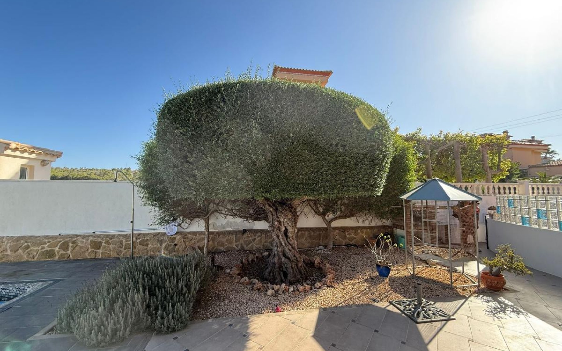 Resale - Villa - San Miguel De Salinas - San Miguel de Salinas Centro
