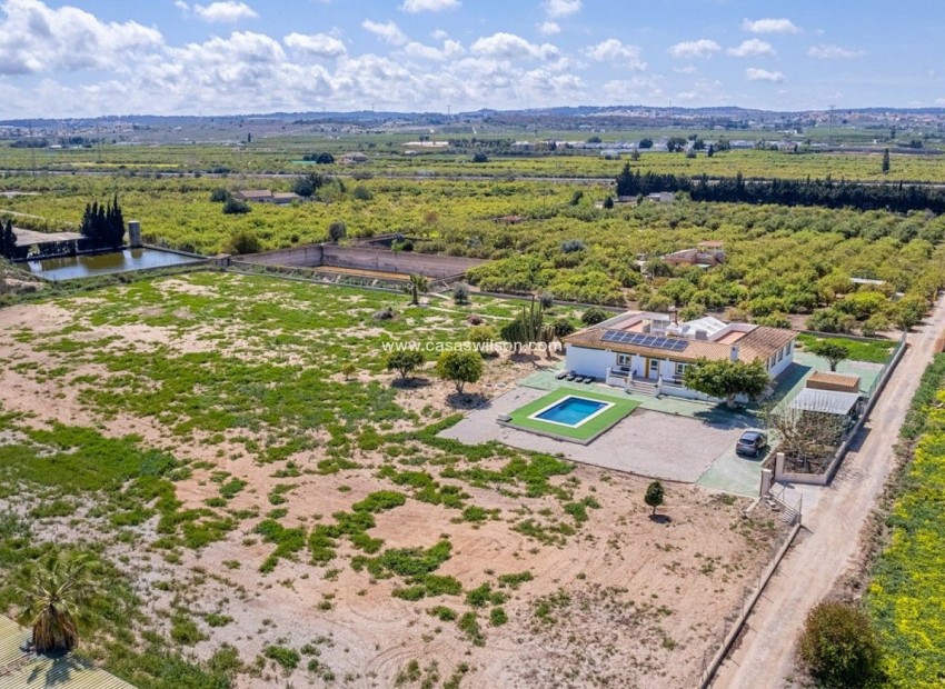 Resale - Villa - San Miguel De Salinas - San Miguel de Salinas Centro