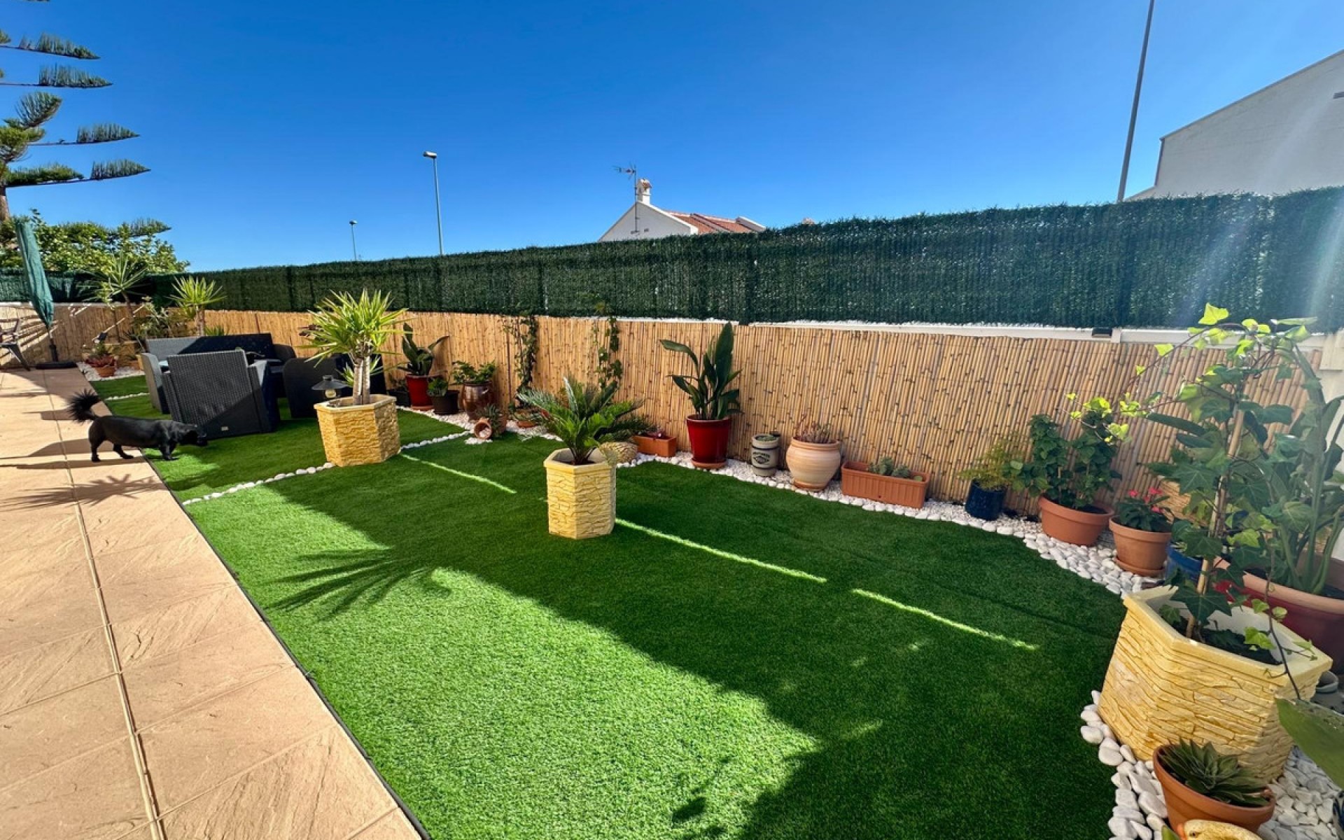 Resale - Villa - San Miguel De Salinas - San Miguel de Salinas Centro