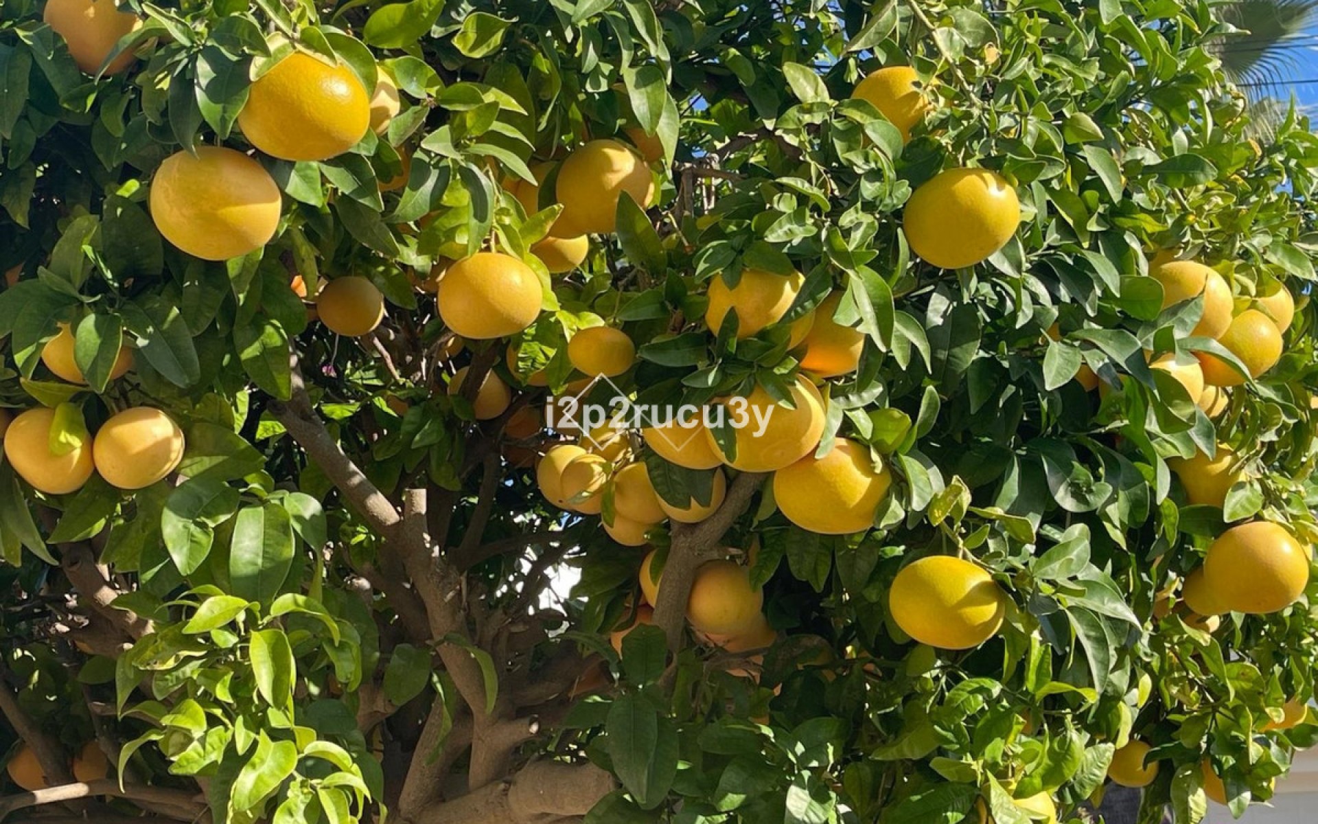 Resale - Villa - Teulada - Moraira