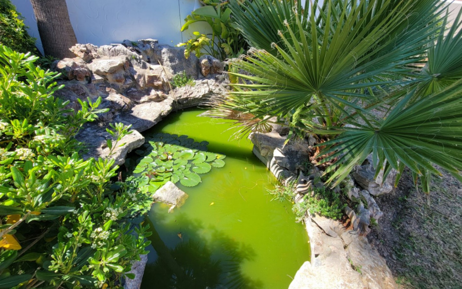 Resale - Villa - Teulada - Moraira