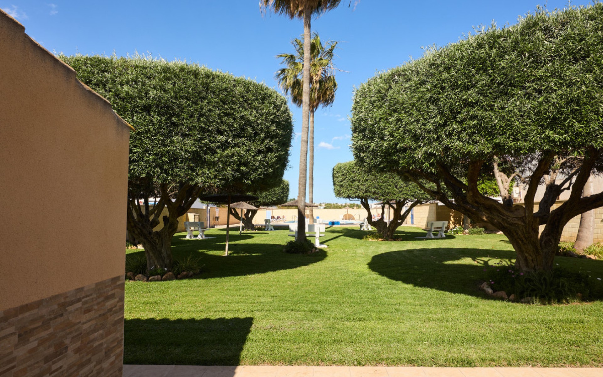 Resale - Villa - Torrevieja - Jardin del Mar